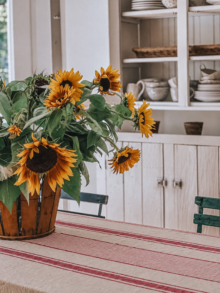 Beautiful bouquet of sunflowers arranged in an apple basket on a dining room table.